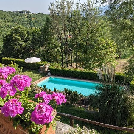Agriturismo Casentino - Fattoria Ventrina Martina المظهر الخارجي الصورة