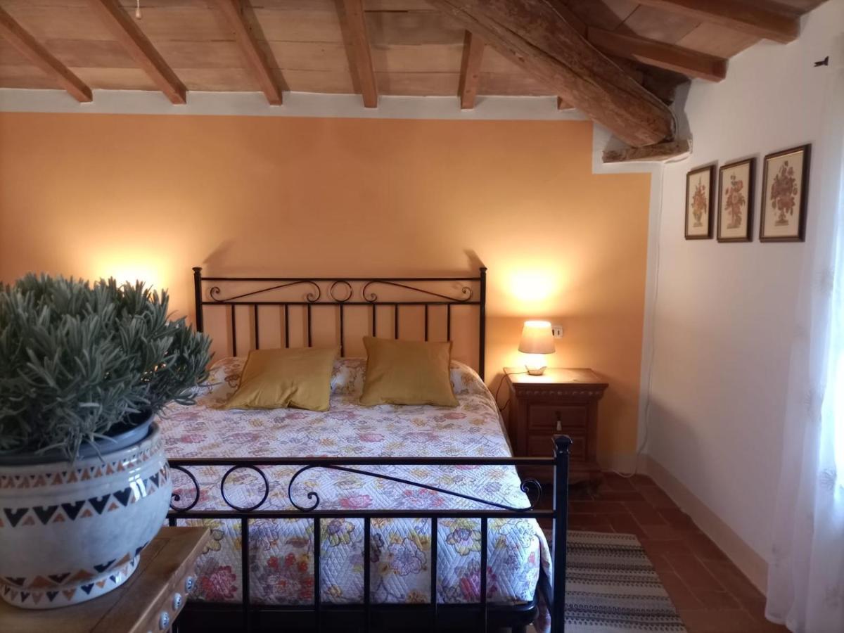 Agriturismo Casentino - Fattoria Ventrina Martina المظهر الخارجي الصورة
