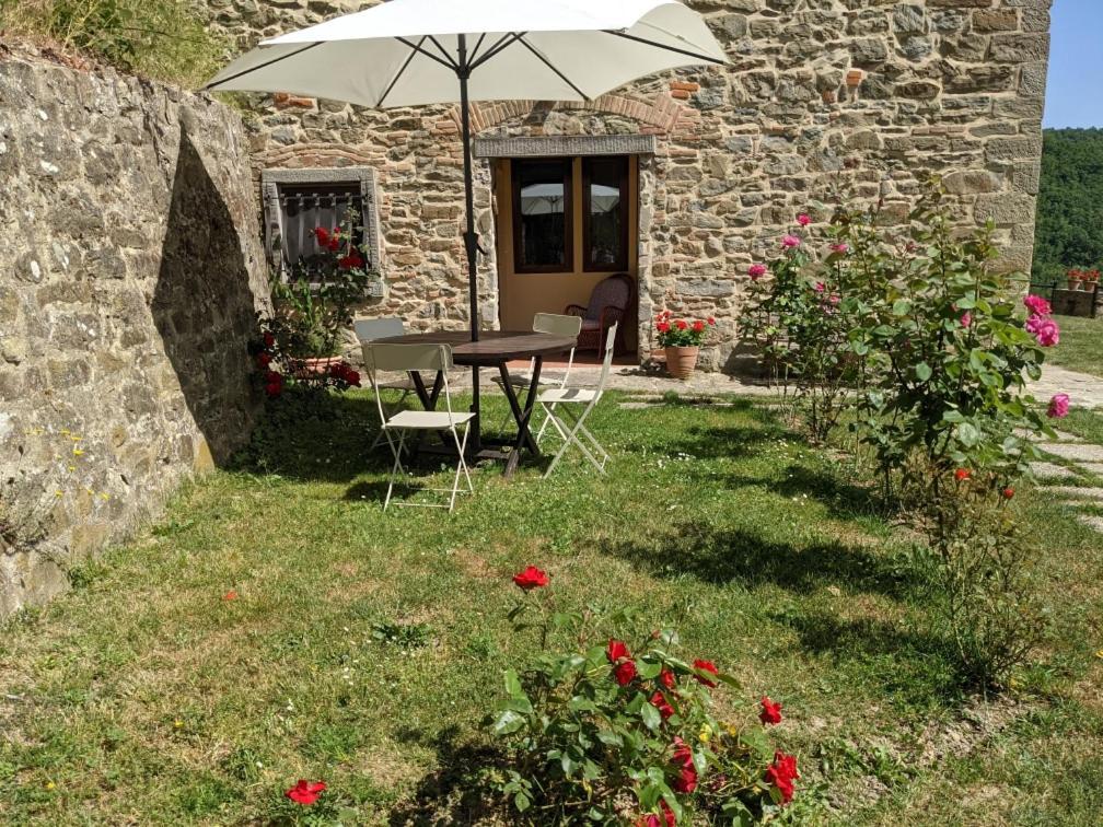 Agriturismo Casentino - Fattoria Ventrina Martina المظهر الخارجي الصورة
