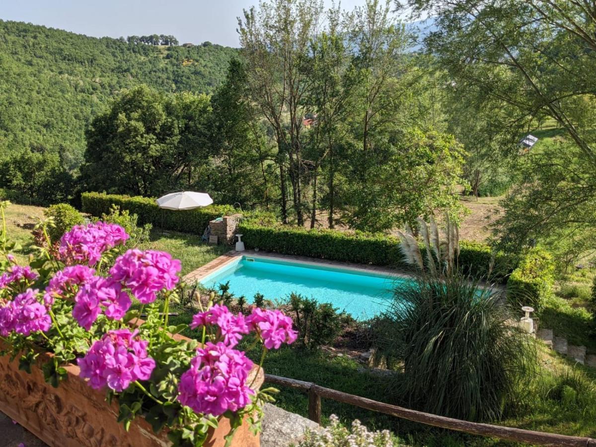 Agriturismo Casentino - Fattoria Ventrina Martina المظهر الخارجي الصورة