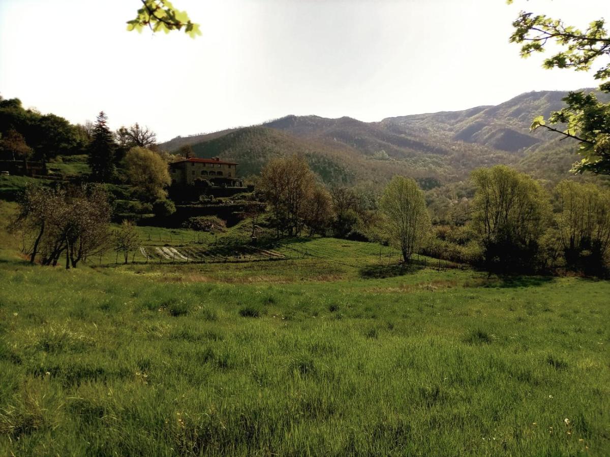 Agriturismo Casentino - Fattoria Ventrina Martina المظهر الخارجي الصورة