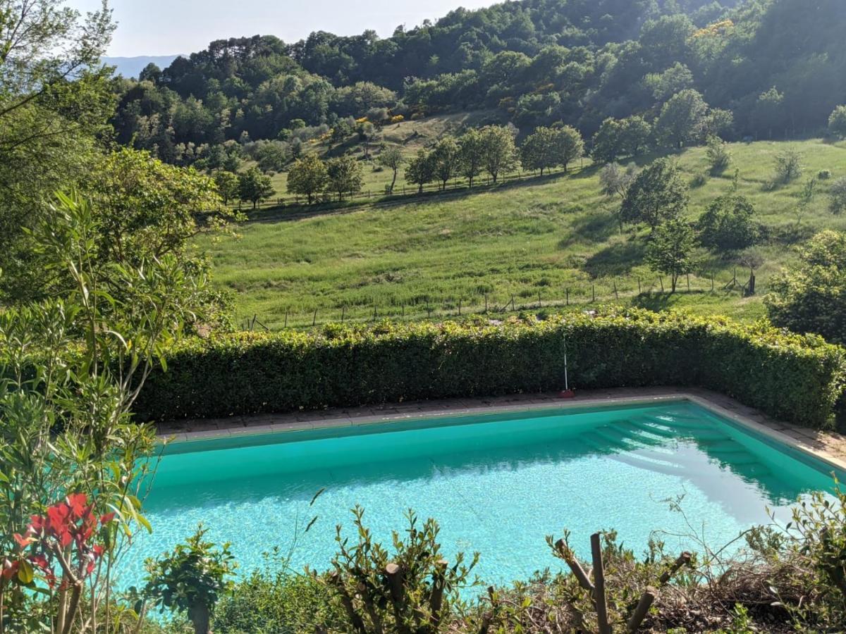 Agriturismo Casentino - Fattoria Ventrina Martina المظهر الخارجي الصورة