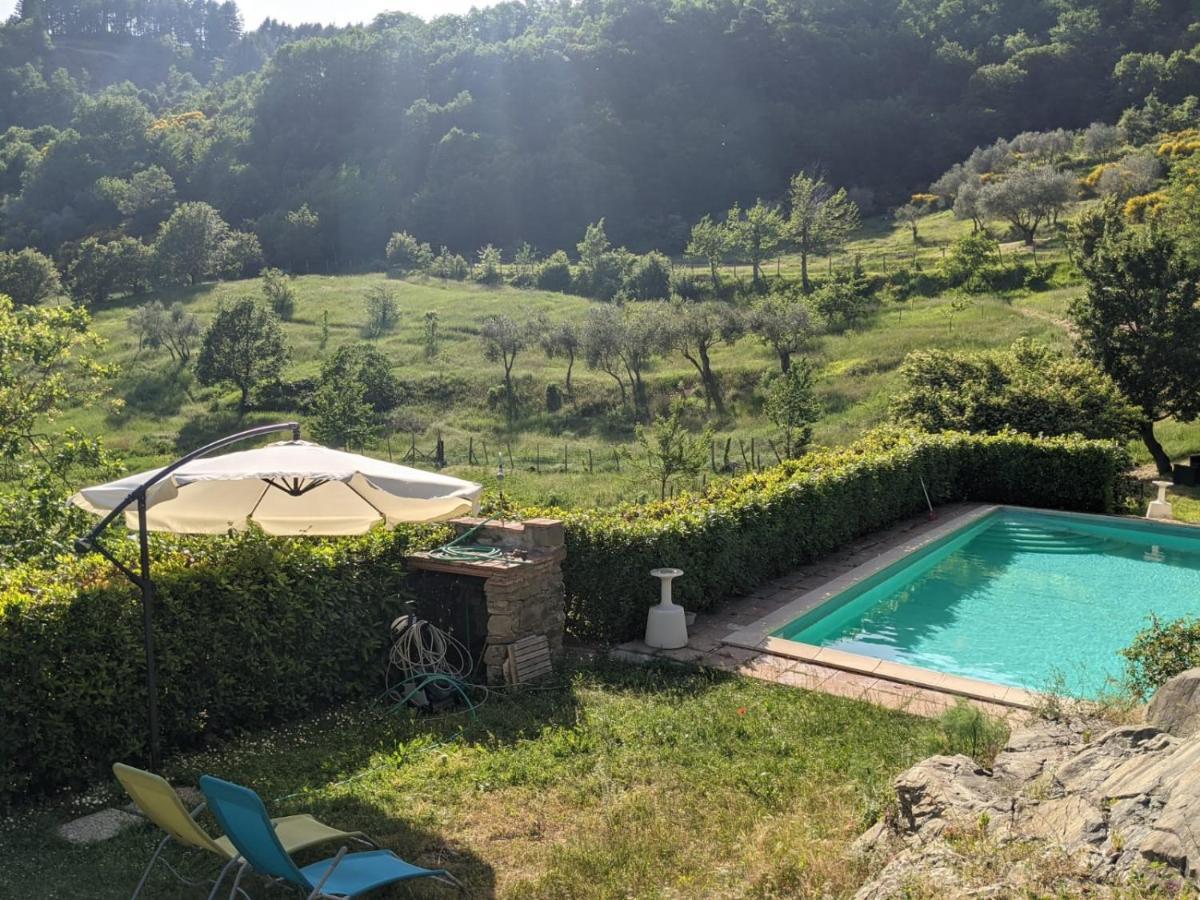 Agriturismo Casentino - Fattoria Ventrina Martina المظهر الخارجي الصورة