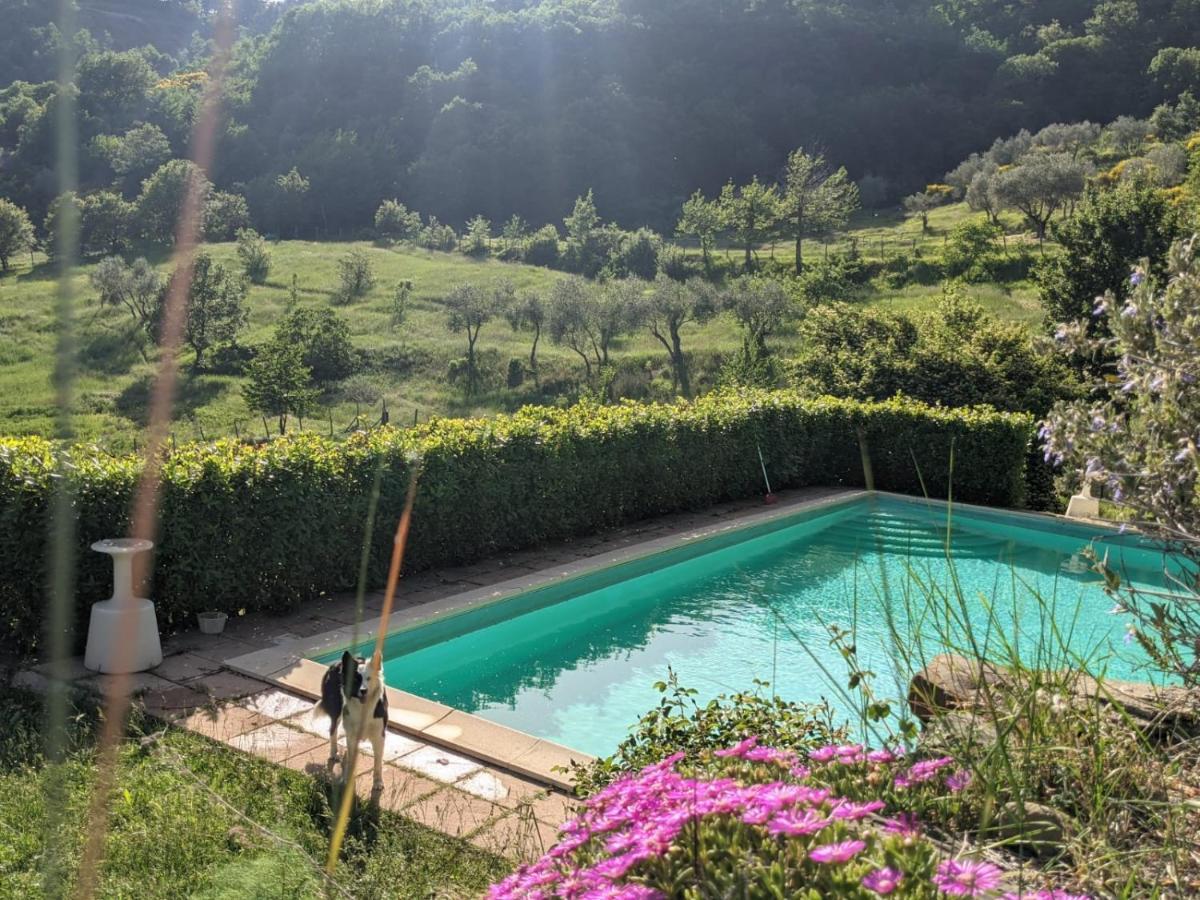 Agriturismo Casentino - Fattoria Ventrina Martina المظهر الخارجي الصورة