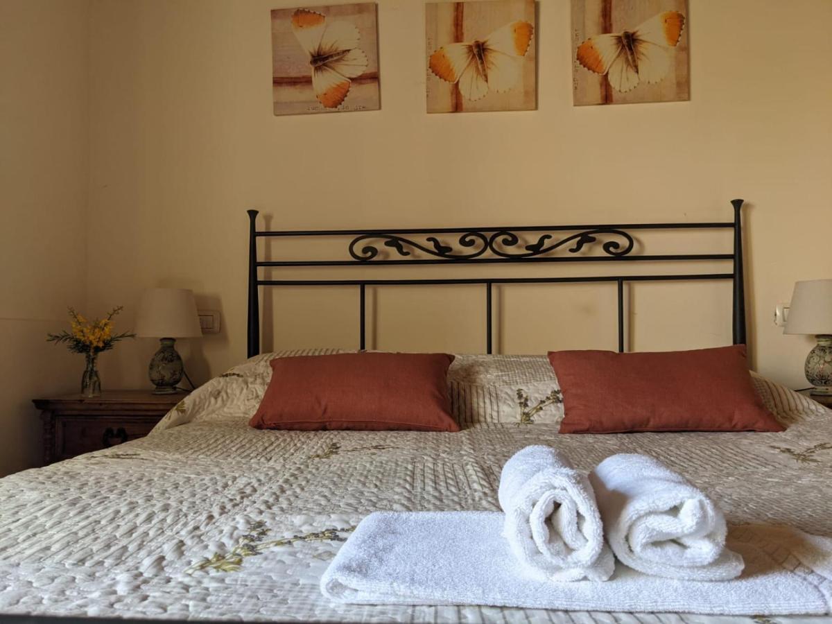 Agriturismo Casentino - Fattoria Ventrina Martina المظهر الخارجي الصورة