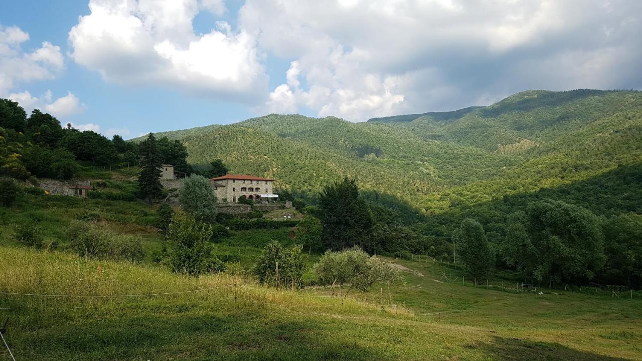 Agriturismo Casentino - Fattoria Ventrina Martina المظهر الخارجي الصورة